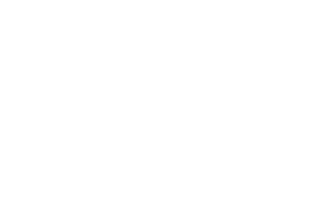 TL_logo weiß
